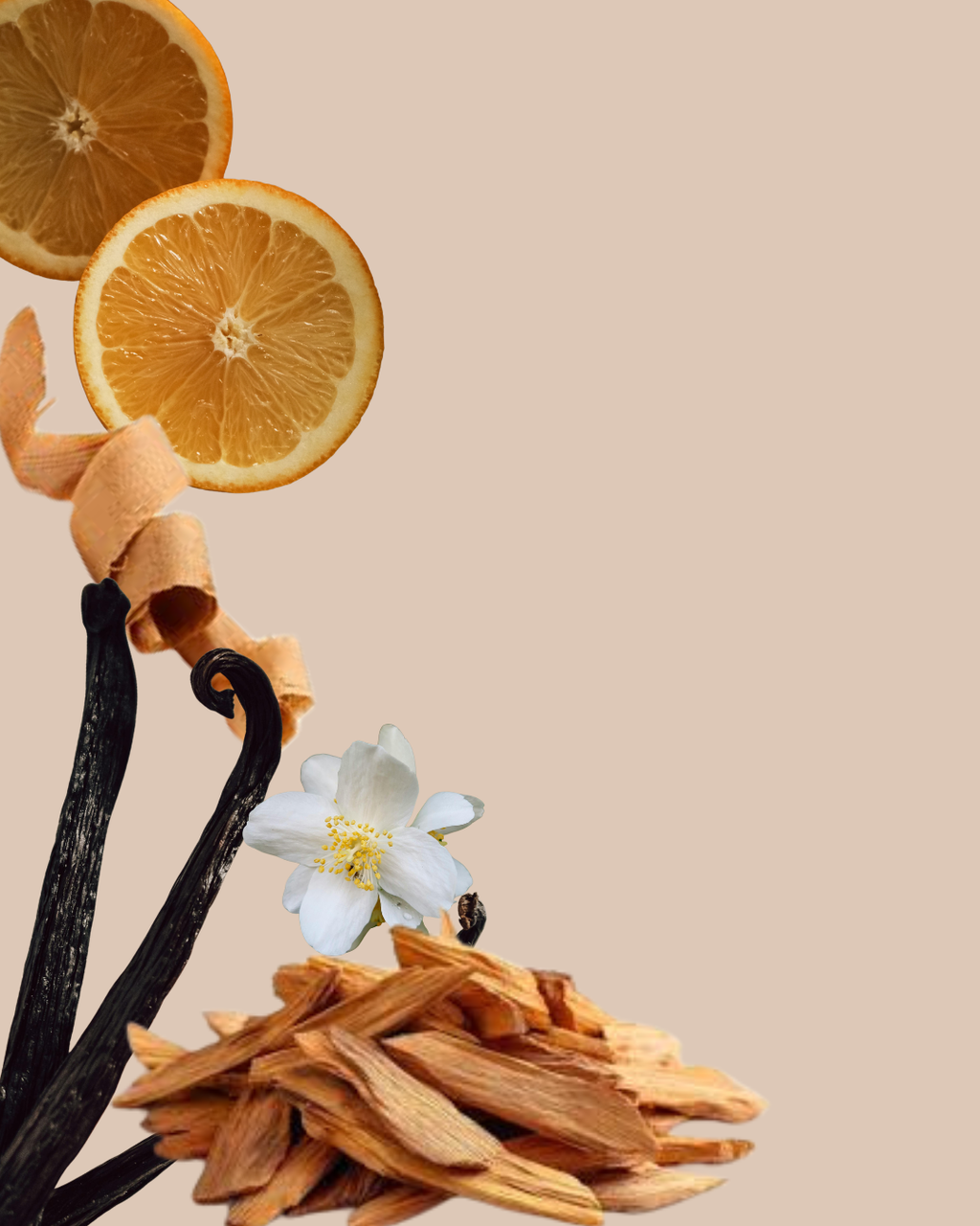 Sandalwwood Perfume