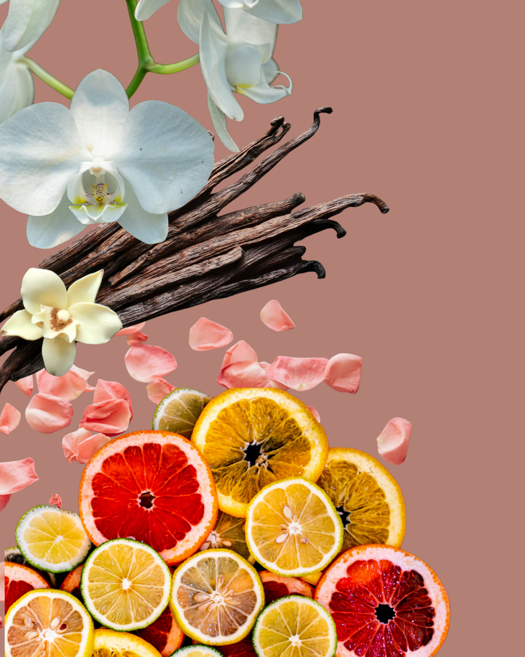 Satin Vanilla Perfume
