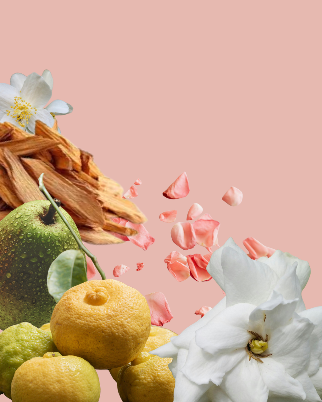 Clean Flowers Perfume