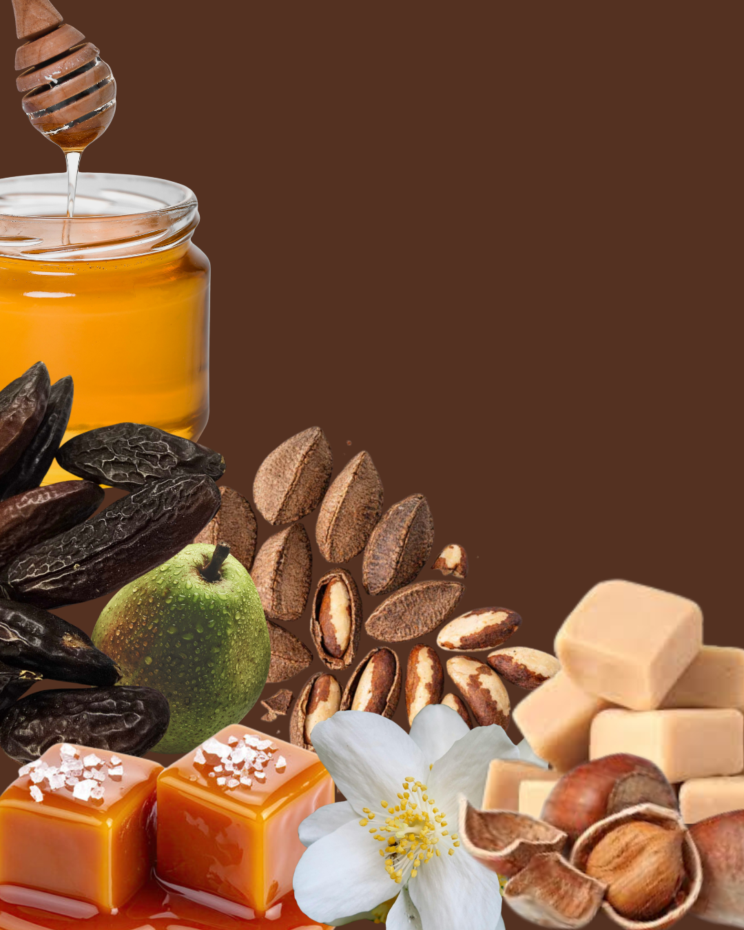 Golden Praline Perfume